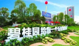 碧桂园爆料最新消息古田,碧桂园助力打造未来城市新地标